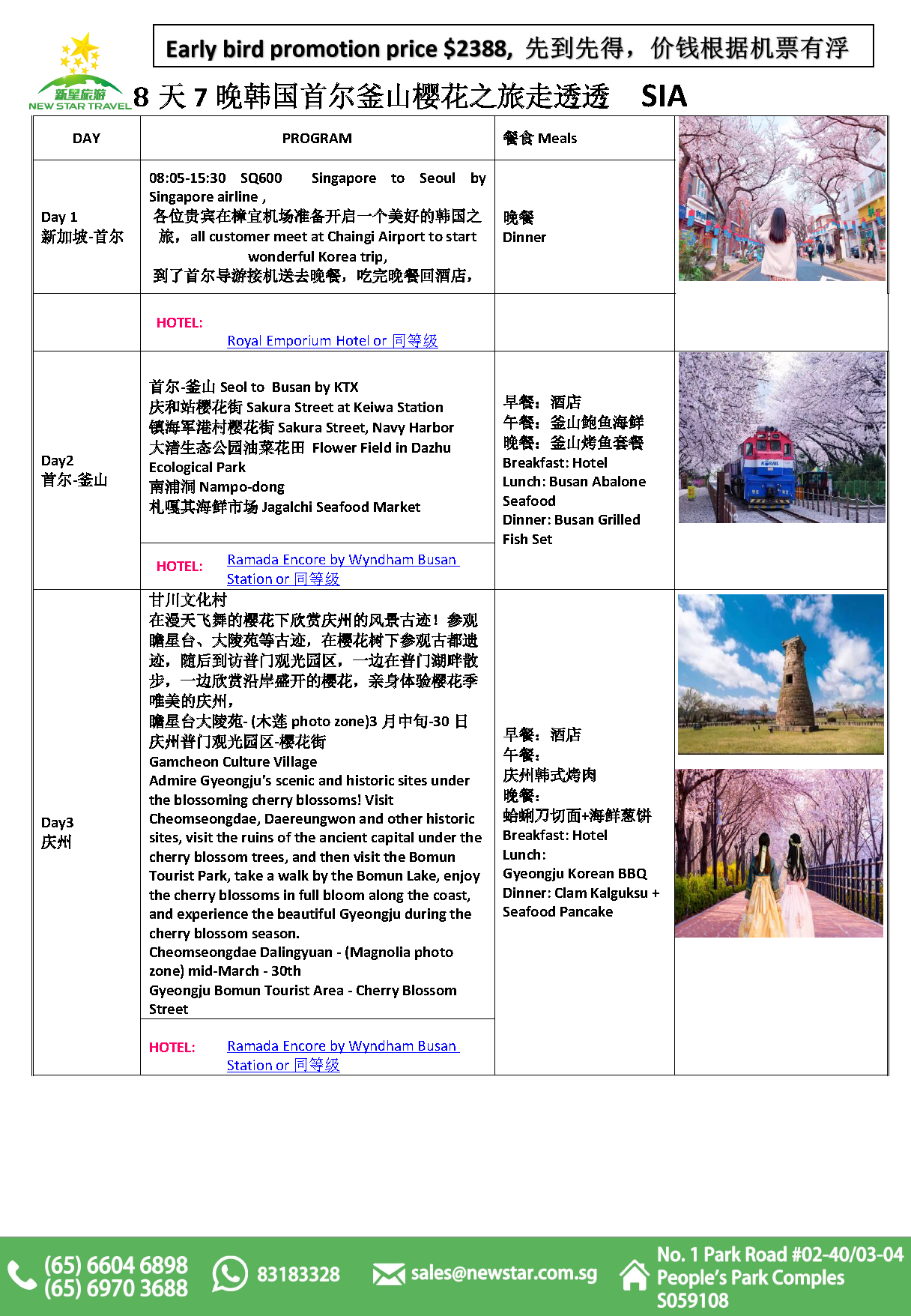 8天7晚 韩国釜山樱花团 SQ